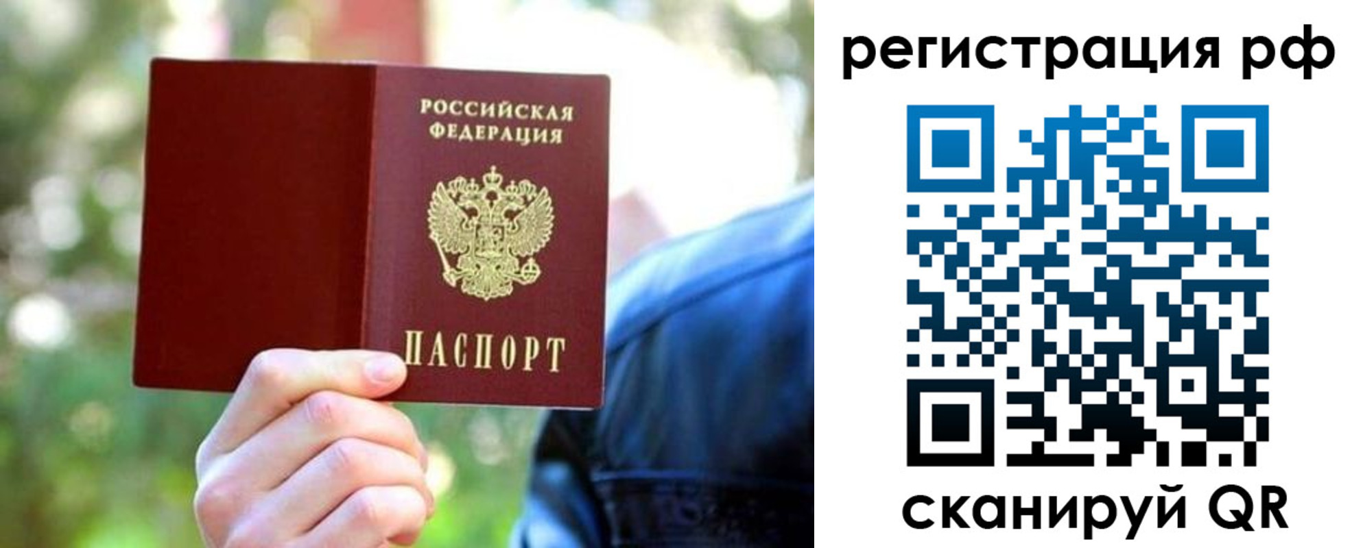 прописка поиск в Палласовке